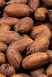 10 LBS SQUIRREL PECANS